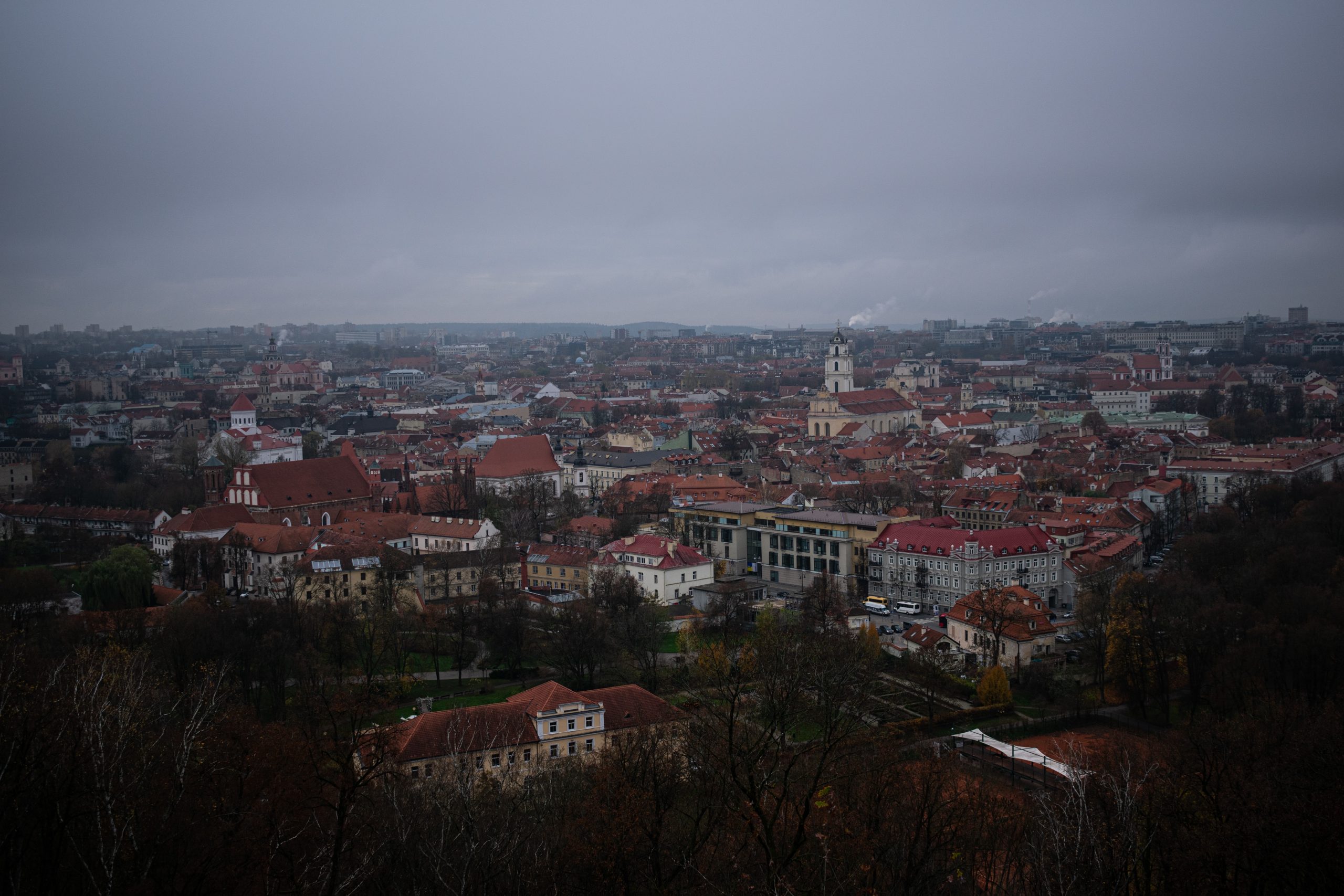 Fiscal Representation in Lithuania